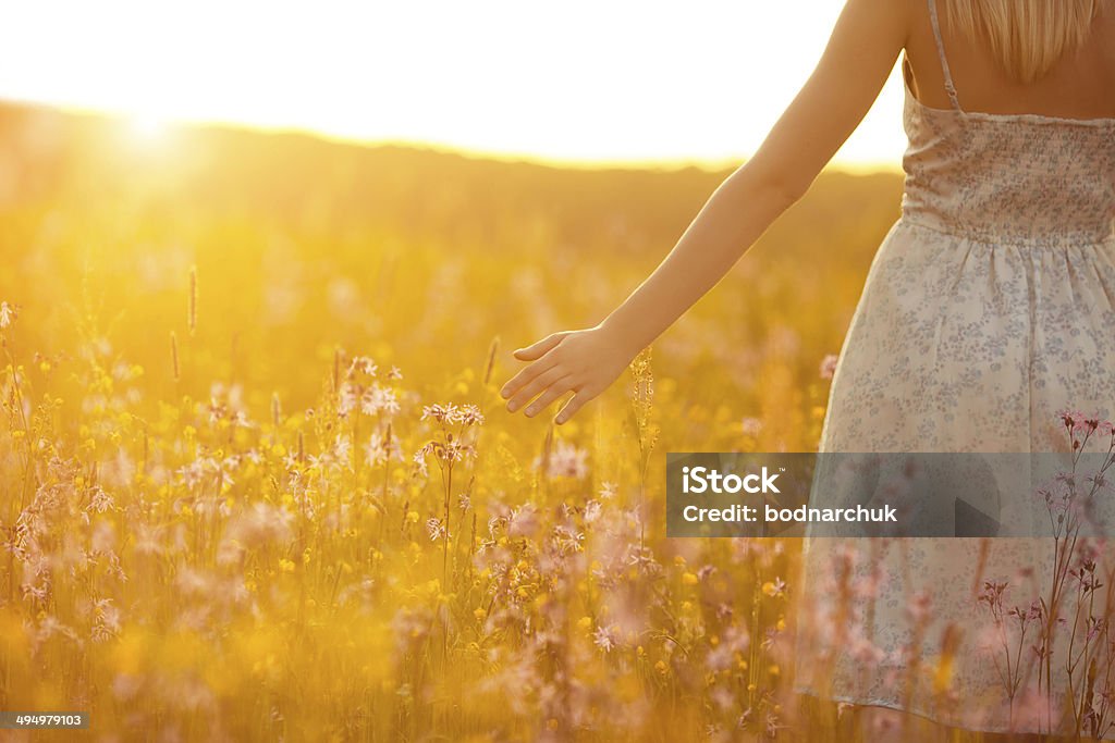 Flowers and the woman palm in the field Flowers and the woman palm in the field. Lit evening sun Adult Stock Photo