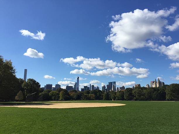 istock Manhattan skylin and grat lawn in Central Park 494979390