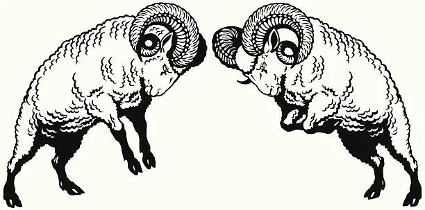 Vector illustration of two fighting rams