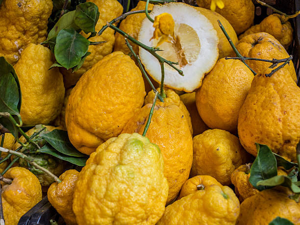 cédrus szicíliában - citron témájú stock jellegű vizuális alkotások, jogdíjmentes fotók és képek