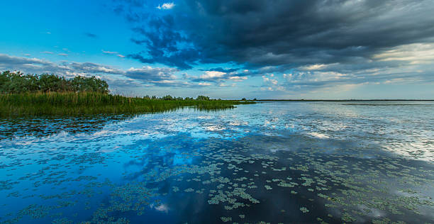 istock Ominous stormy sky over natural lake 494981259
