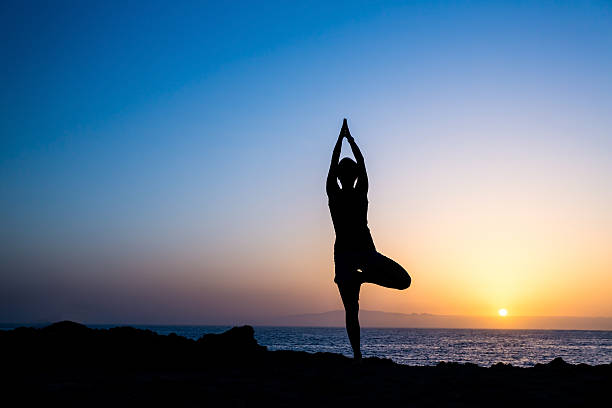istock Woman doing yoga tree sunset silhouette 494981331