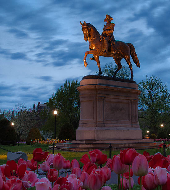 istock George Washington surveys the Spring Tulips 494981819