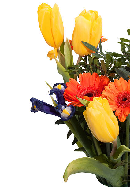 istock bunch of flowers 494993190