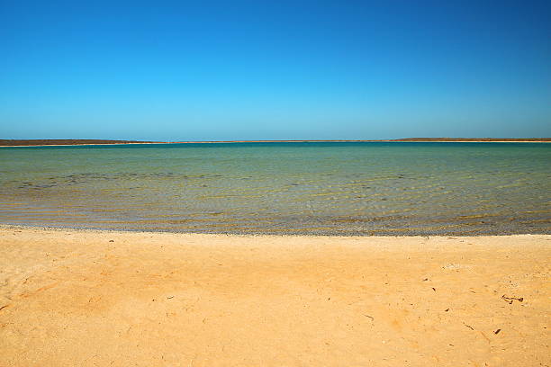 istock Shark Bay, Western Australia 494993272