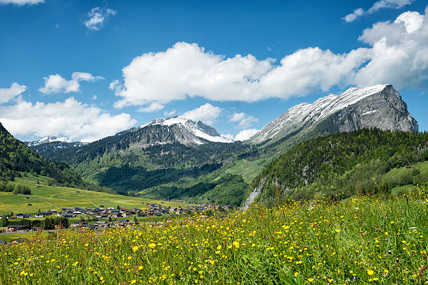 istock idyllic landscape in austria at springtime 494993342