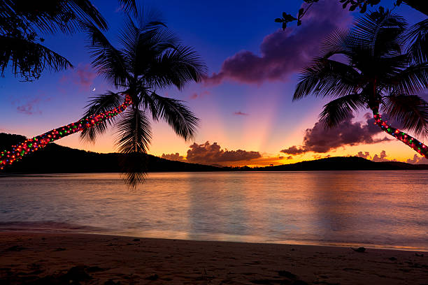 palme deocrated con luci di natale appeso su una spiaggia - christmas palm tree island christmas lights foto e immagini stock