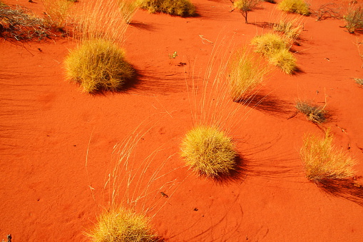 Famous red Australian outback.