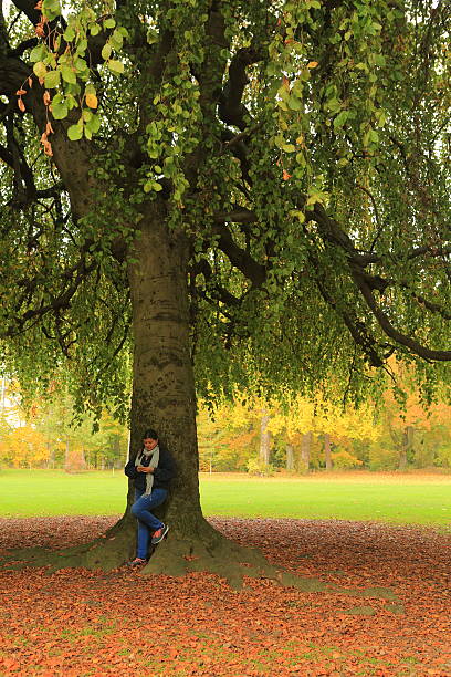 istock Lady Using her Smartphone at the Park in Autumn 494995280