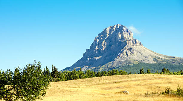 istock Crowsnest Mountain in late summer 494995354