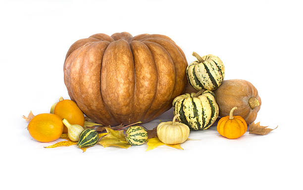 istock Autumn fruits and vegetable collection 494995530