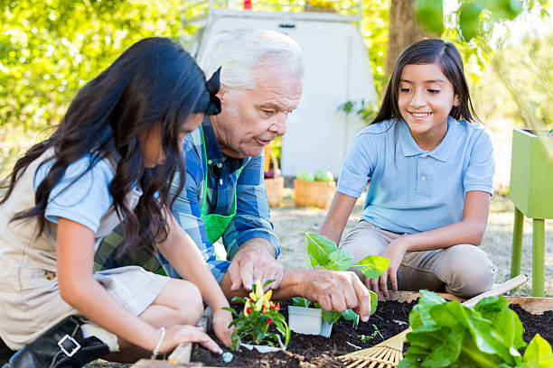 istock Students learning about gardening from farmer during field trip 494996156