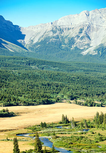 istock Crowsnest River  Valley and Rocky Mountains - summer from above 494996890