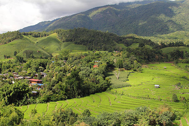 istock Beautiful landscape of rice terraces 494998224