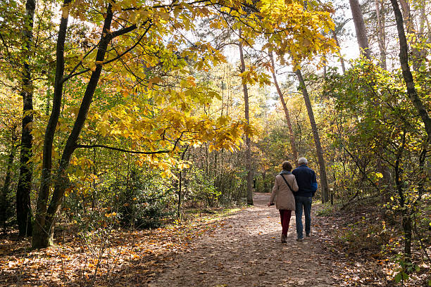 Free Stock Photo of Two People Walking Down a Path in the Woods ...