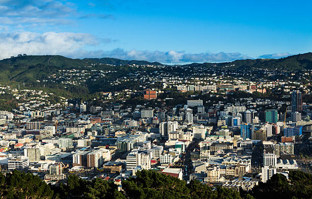 istock City Of Wellington 495004467