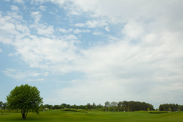 istock lush fairway in the foreground 495005161