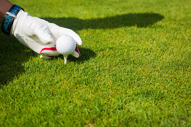 istock Hand hold golf ball with tee on course, close up 495005695