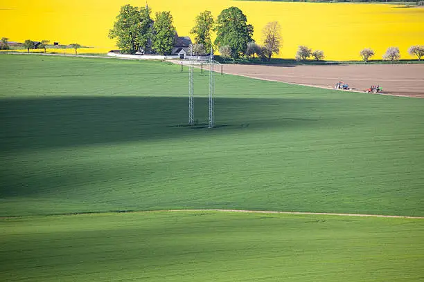 Field of rapeseeds at region Liptov, Slovakia