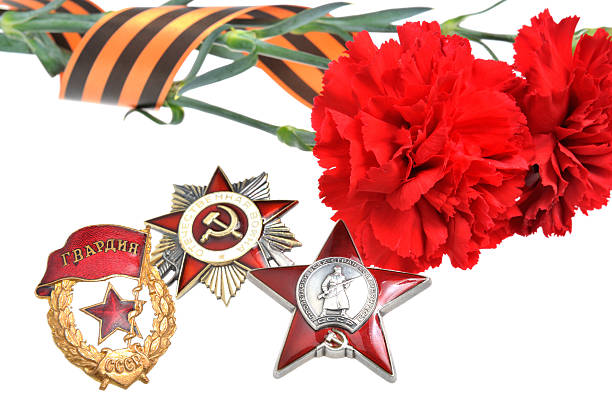 istock Red carnations with Saint George ribbon and orders on white 495007899