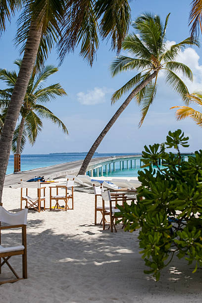 istock beach in the Maldives 495007941