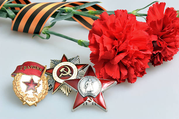 istock Red carnations with Saint George ribbon and orders on gray 495008065
