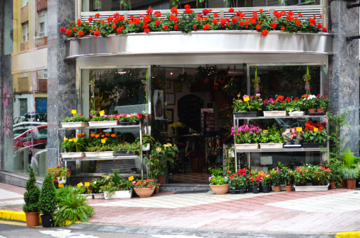 Flower shop at Camargo, Spain.