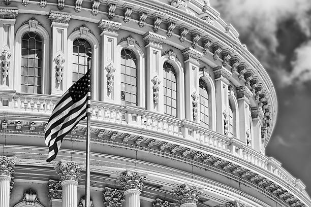 istock Washington DC Capitol detail in B&W 495009289
