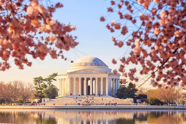 Photo of the Jefferson Memorial during the Cherry Blossom Festival