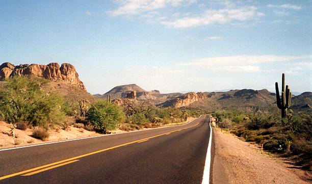 apache trail fahrt, arizona - sonoran desert cactus landscaped desert stock-fotos und bilder