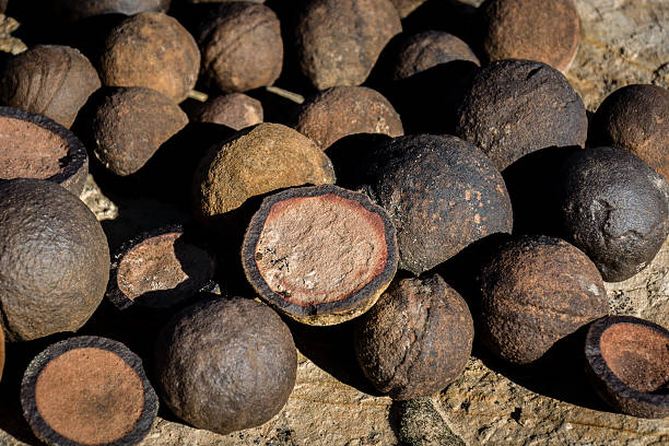 Moqui Marbles Moqui Marbles - Utah horseshoe canyon stock pictures, royalty-free photos & images