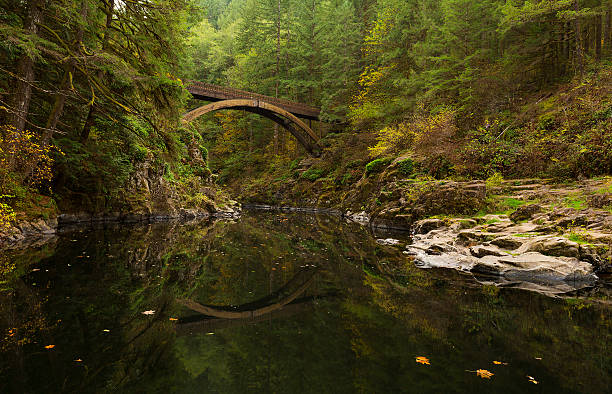 istock Reflection of the Bridge on the Water 495017092