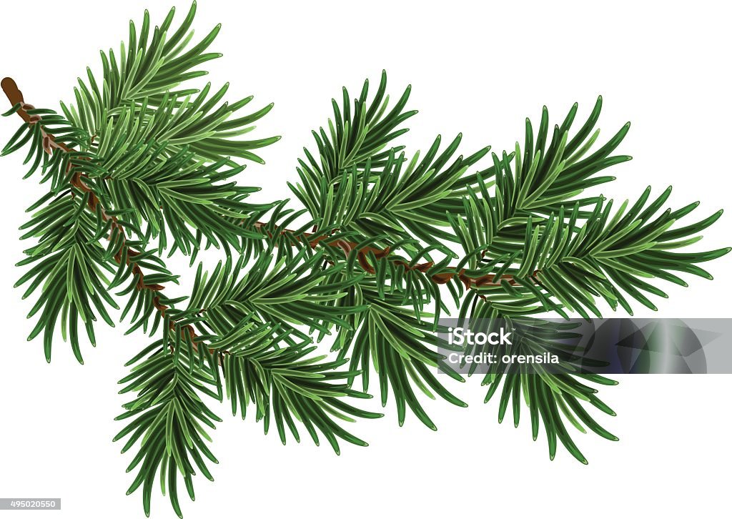 Fur-tree branch. Green fluffy pine branch Fur-tree branch. Green fluffy pine branch. Isolated on white vector illustration Branch - Plant Part stock vector