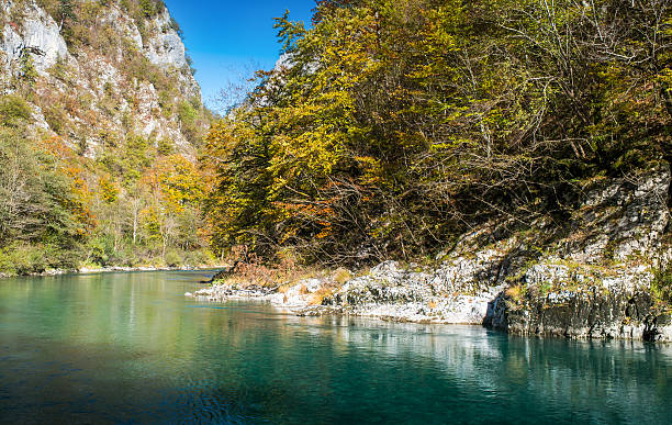 istock Canyon of river Tara, Montenegro 495021192
