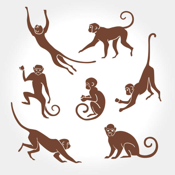 ilustrações, clipart, desenhos animados e ícones de silhueta de macaco - monkey