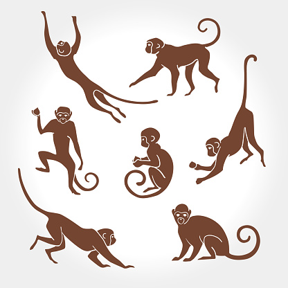 monkey, vector, silhouette, animal, illustration, graphic, primate, outline, wildlife, ape, isolated, symbol, collection, astrology, zodiac, art, sign, set, chimpanzee, year, decoration, new, icon, design, pose, stand, jump, sit, walk, run, design element, hanging, fun, tropical, macaque, wild, nature, jungle, sketch, character, drawing, face, head, muzzle, print, new year, 2016, tail, Saimiri