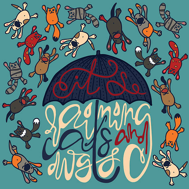 poster mit silhouette der sonnenschirm und schriftzug - raining cats and dogs englische redewendung stock-grafiken, -clipart, -cartoons und -symbole