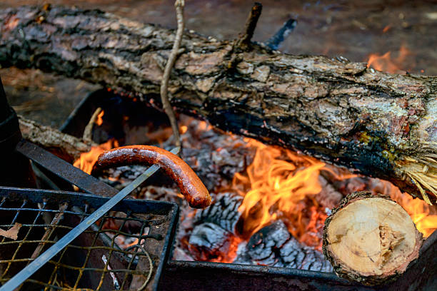 istock Sausage on bonfire in the wood 495023930