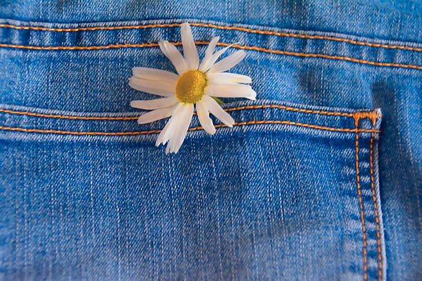 istock Blue jeans with a camomile 495035064