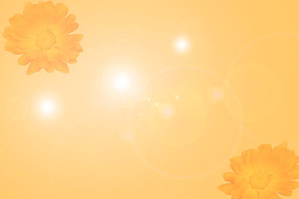istock yellow background with flares and flowers 495035084