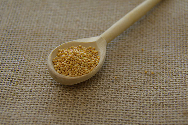 Small wooden spoon with yellow mustard seeds Small wooden spoon with yellow mustard seeds on the sackcloth dijonnaise stock pictures, royalty-free photos & images
