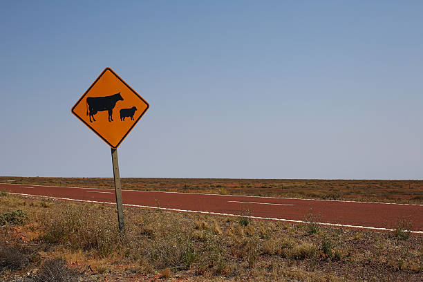 istock Australian Stock Sign 495035724