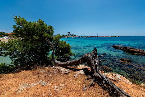 istock Mallorca Spain EU nature - panorama 495037748
