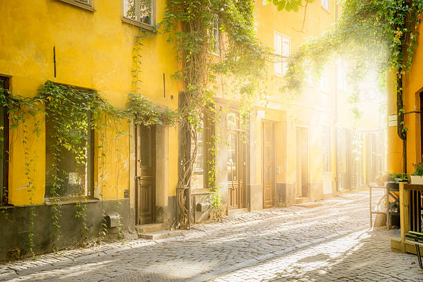 istock old street in Stockholm 495038034