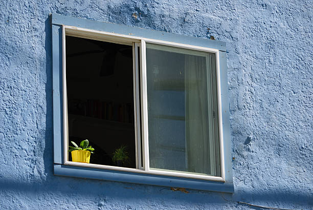 istock Yellow Flowerpot in a blue window 495039146