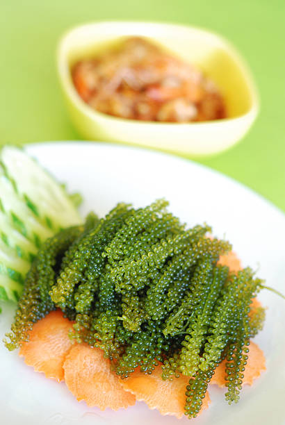 Oval sea grapes seaweed with Spicy Seafood Salad