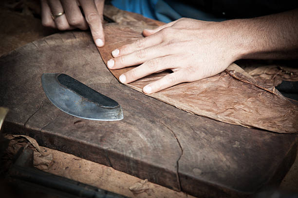 istock Traditional making of fine cuban cigars 495049118