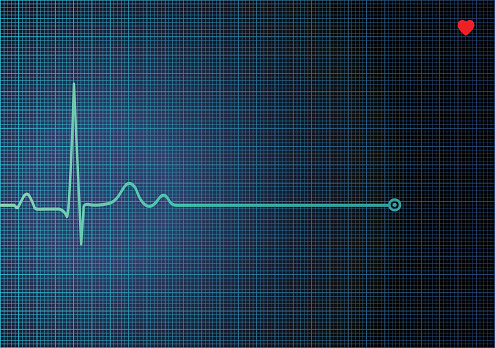 EKG Heart Monitor. PDF file is included.