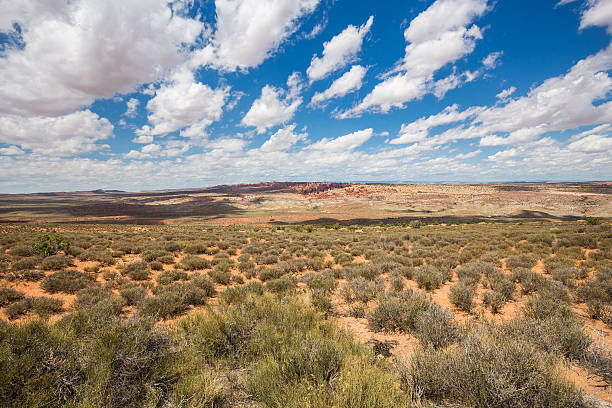 istock Arches National Park, Utah, USA 495050696