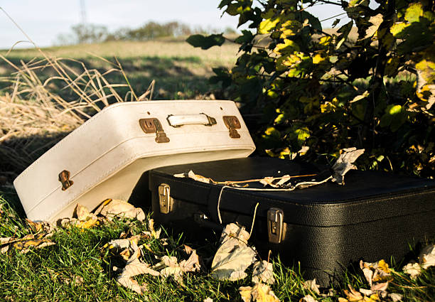 istock Suitcase On The Road  in the leaves 495051014